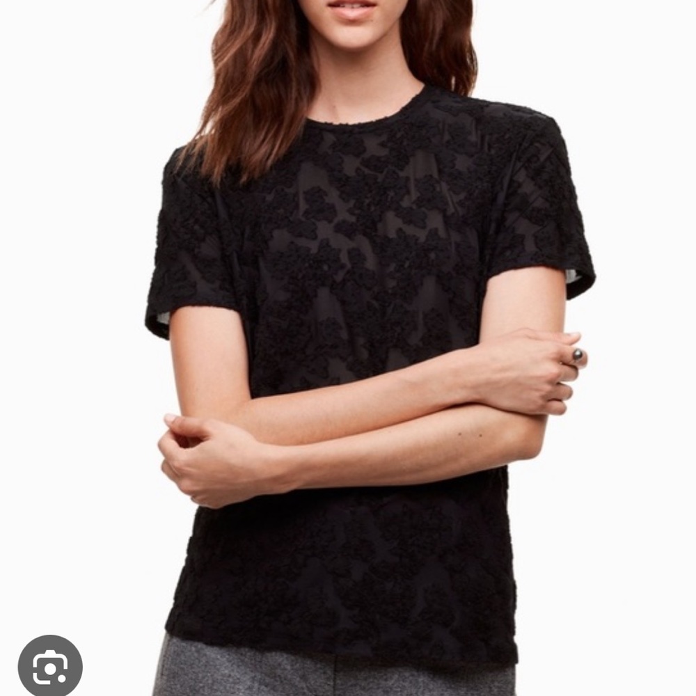 Aritzia Wilfred Tarascon Sheer Floral Applique Comfy T-shirt